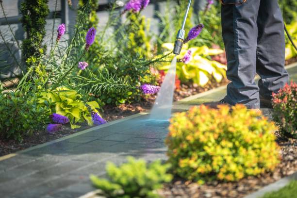 Best Building Exterior Pressure Washing in Merrill, IA