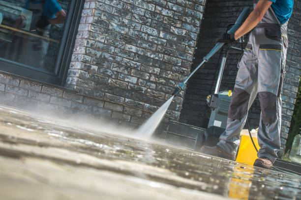 Best Roof Cleaning and Mildew Removal in Merrill, IA
